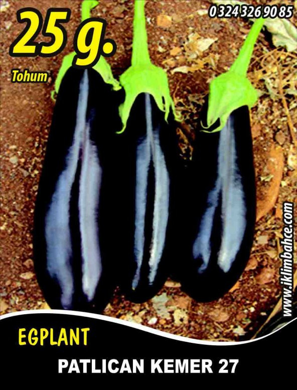 Patlıcan Tohumu Kemer 27 - 25 g (~ Takribi 3.250 Tohum)