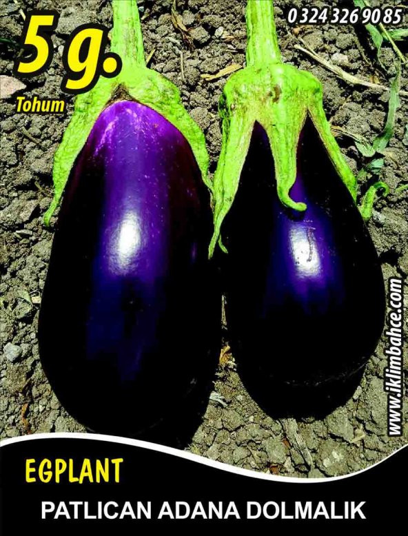 Patlıcan Tohumu Adana Dolmalık - 5 G (~ Takribi 650 Tohum)