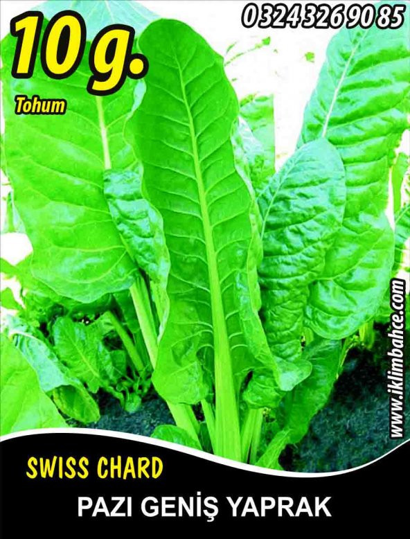 Pazı Tohumu ( Pezik ) - 10 G (~ Takribi 200 Tohum)