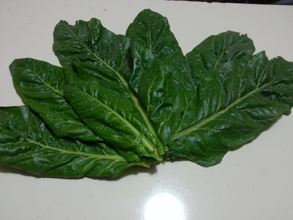 Pazı Tohumu ( Pezik ) - 10 G (~ Takribi 200 Tohum) - 3