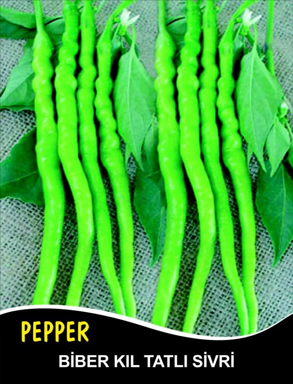 Biber Tohumu Kıl Tatlı 5 G. (~ Takribi 400 Tohum)