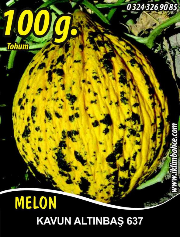 Kavun Tohumu Kırkağaç 637 / 100 g.