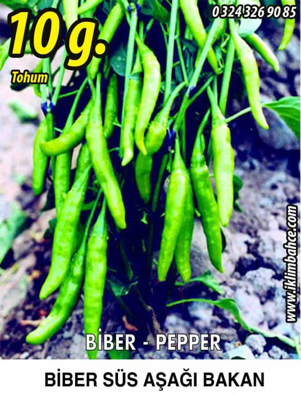 Biber Tohumu Aşağıbakan Yeşil Süs - 10G (~ Takribi 800 Tohum)