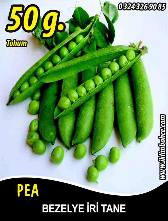 Bezelye Tohumu Utrillo Araka İri Tane 50G