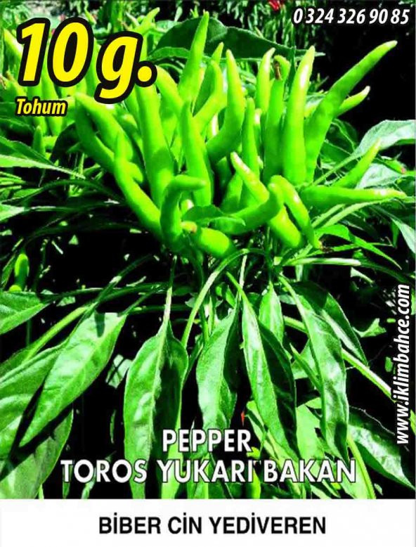 Biber Tohumu Toros Yukarı Bakan Yeşil Süs - 10G (~ Takribi 800 Tohum)