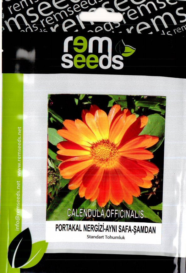 Portakal Nergisi Çiçek Tohumu Calendula Off. (Takribi ~25 Tohum)