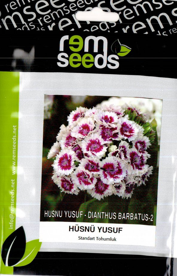 Hüsnü Yusuf Çiçek Tohumu - Dıanthus Barbatus - 2 (~ Takribi 50 Tohum)