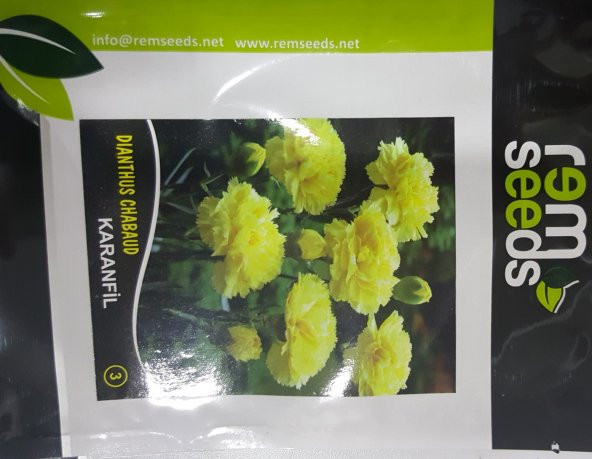 Karanfil Çiçek Tohumu 3 - Dıanthus Chabaud (~ Takribi 50 Tohum)