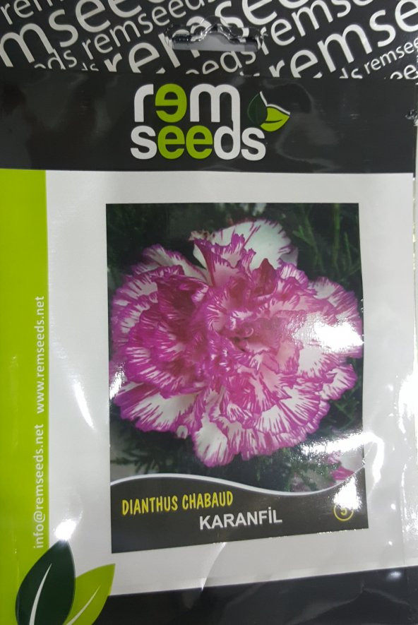 Karanfil Çiçek Tohumu 5 - Dıanthus Chabaud (~ Takribi 50 Tohum)