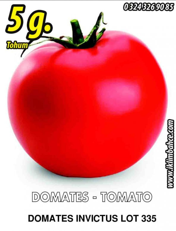 Domates Tohumu İnvictus Lot 335 Pk 5g (~ Takribi 750 Tohum)
