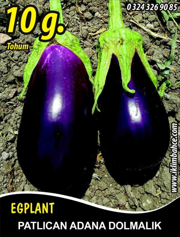 Patlıcan Tohumu Adana Dolmalık - 10 g (~ Takribi 1350 Tohum)