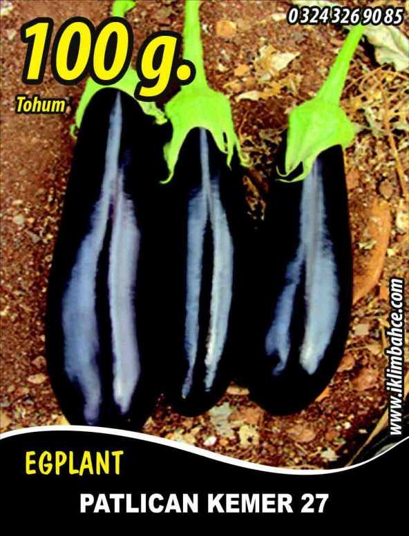 Patlıcan Tohumu Kemer 27 - 100 g
