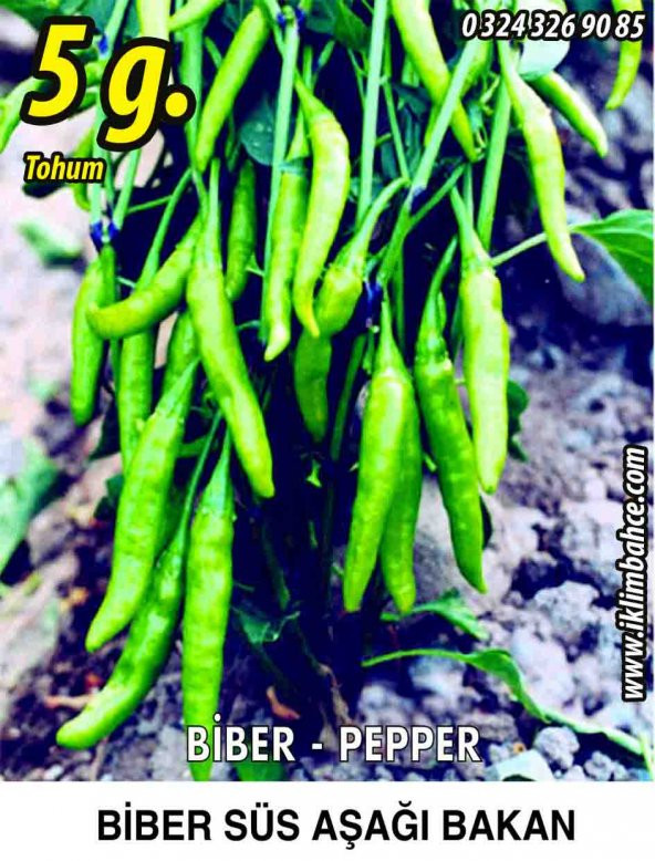 Biber Tohumu Aşağıbakan Yeşil Süs - 5 G (~ Takribi 400 Tohum)