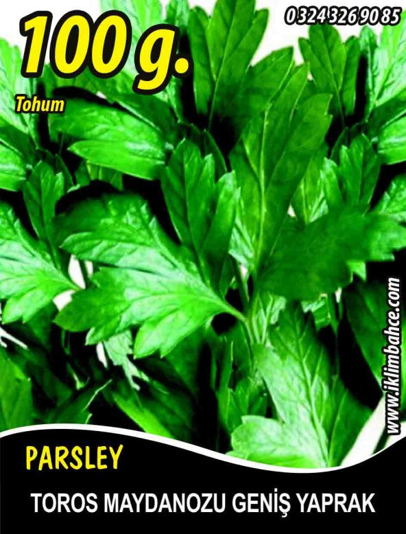 Maydanoz Tohumu Toros Maydanozu - 100 g