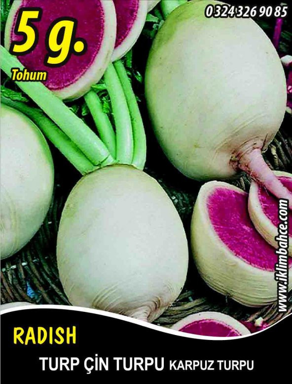 Turp Tohumu Çin Turpu 5 G (~ Takribi 300 Tohum)