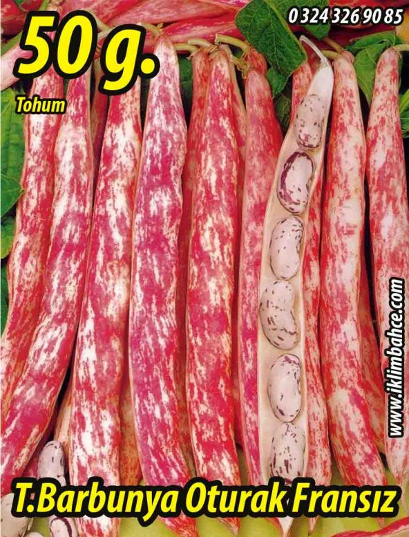 Barbunya Tohumu Oturak Fransız Tipi - 50 gr