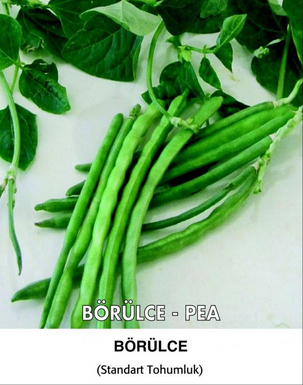 Börülce Tohumu Karagöz 86 - 50g