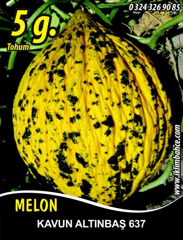 Kavun Tohumu Kırkağaç 637 /- 5 G (~ Takribi 70 Tohum)