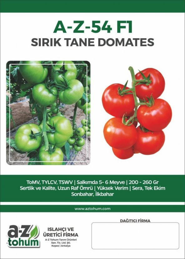 HİBRİT SIRIK TANE DOMATES TOHUMU - 10 ADET TOHUMLUK - 6