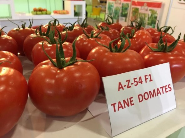 HİBRİT SIRIK TANE DOMATES TOHUMU - 10 ADET TOHUMLUK - 8