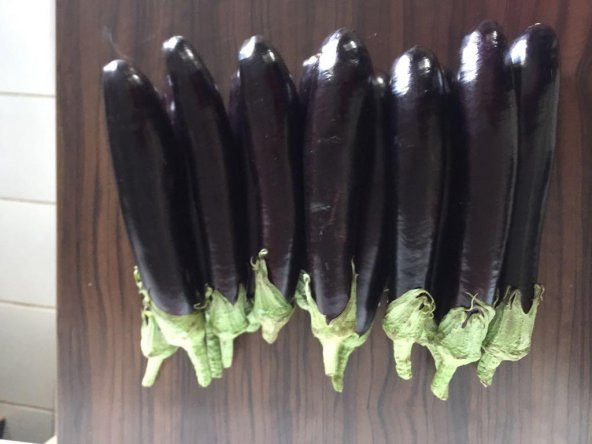 A-Z Tohum Patlıcan Tohumu Şehzade F1 Uzun Patlıcan (A-Z 61) - 20 Adet Tohumluk