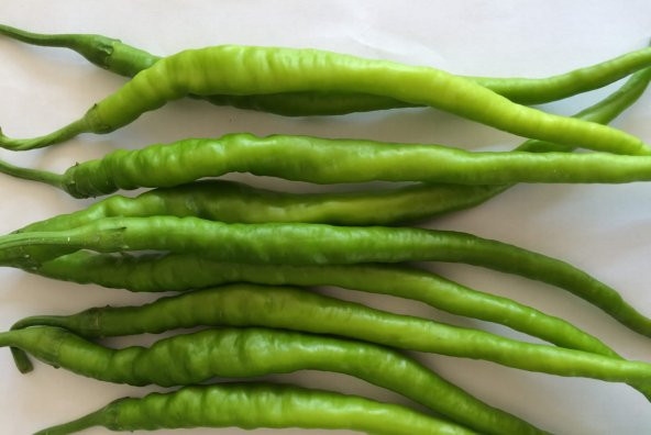 A-Z Tohum Biber Tohumu Sümbül F1 Kıl Biber - 20 Adet Tohumluk