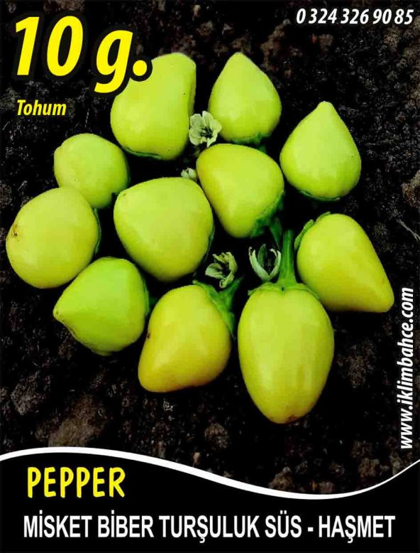 Biber Tohumu Haşmet - Misket - 10G (~ Takribi 800 Tohum)