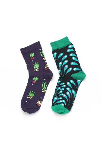 Kanz Desenli Pamuklu 2'Li Kadın Çorap - Resim 8