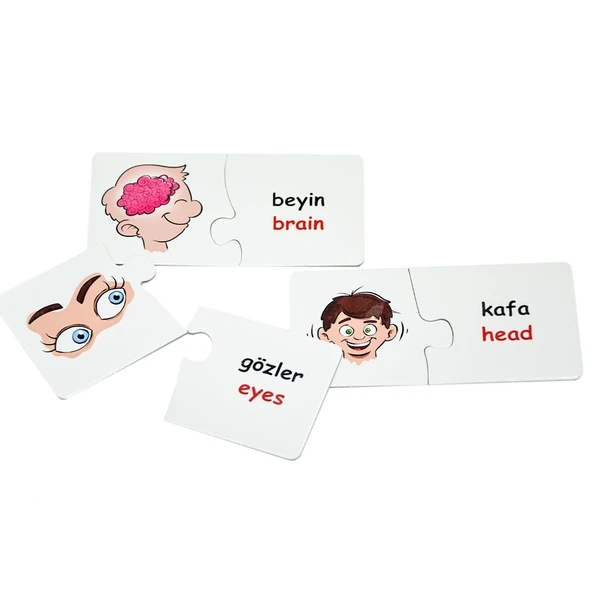 EDU-1008 Vücudumuz Eşleştir Oyunu -Chiva - 3