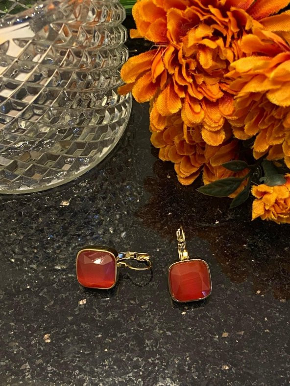 Aksesuar Çarşısı Çelik Kare Kesim Kırmızı Taşlı Küpe - Resim 8