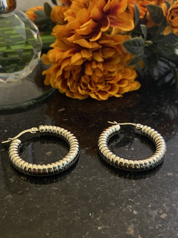 Aksesuar Çarşısı Çelik  Silver Burgu Halka Küpe - Resim 7