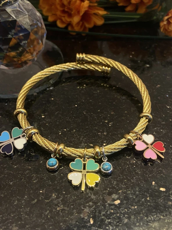Aksesuar Çarşısı Çelik Pandora Model Hasır Renkli Yonca Tarasımlı Bileklik - 5