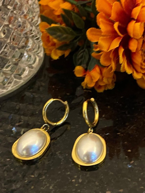 Aksesuar Çarşısı Çelik Sedefli İnce Küpe ürün görseli