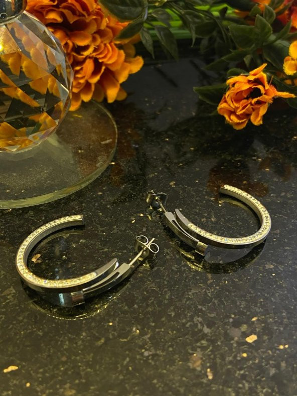 Aksesuar Çarşısı Çelik Zirkon Taşlı Çivi Model Halka  Küpe - Resim 3