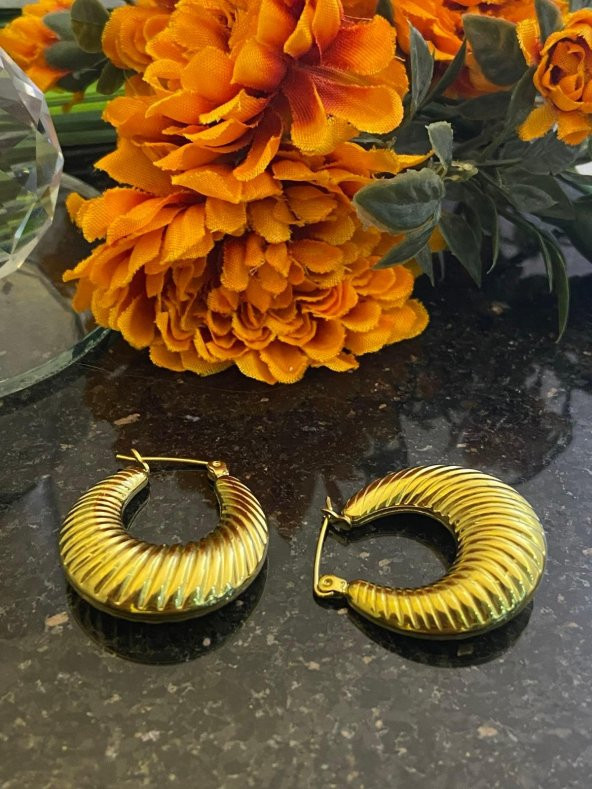 Aksesuar Çarşısı Çelik  İstiridye Tasarımlı Halka Küpe Gold ürün görseli