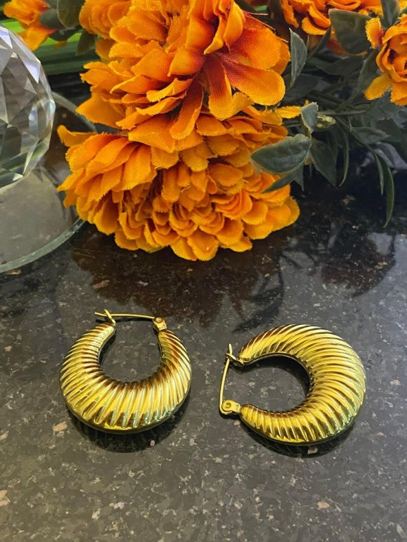 Aksesuar Çarşısı Çelik  İstiridye Tasarımlı Halka Küpe Gold - Resim 2