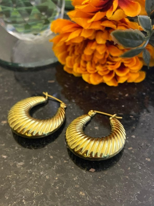 Aksesuar Çarşısı Çelik  İstiridye Tasarımlı Halka Küpe Gold - Resim 4