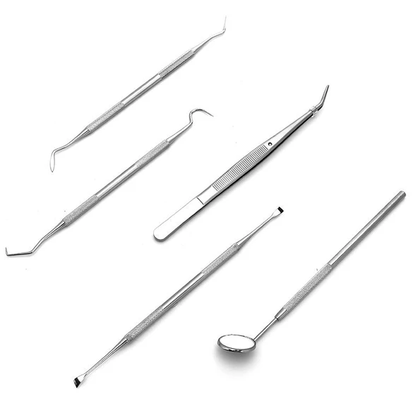 Valkyrie 5 Parça Çantalı Paslanmaz Çelik Diş Tartar Sökücü Diş Temizleme Kiti Tartar Kireç Temizleyici Seti - 8