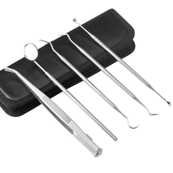 Valkyrie 5 Parça Çantalı Paslanmaz Çelik Diş Tartar Sökücü Diş Temizleme Kiti Tartar Kireç Temizleyici Seti - 2