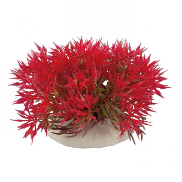 Akvaryum Plastik Bitki 5-6 Cm
