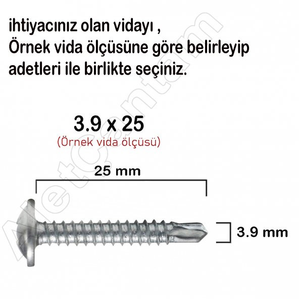 Apex Akıllı Matkap Uçlu Vidası Pul Başlı Vida Rysb 3.9 x 16 MM 100 Adet - Resim 2