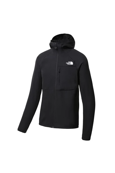 The North Face SUMMIT FUTUREFLEECE FZ Erkek Tam Fermuar Polar NF0A5J7SJK31 - 2