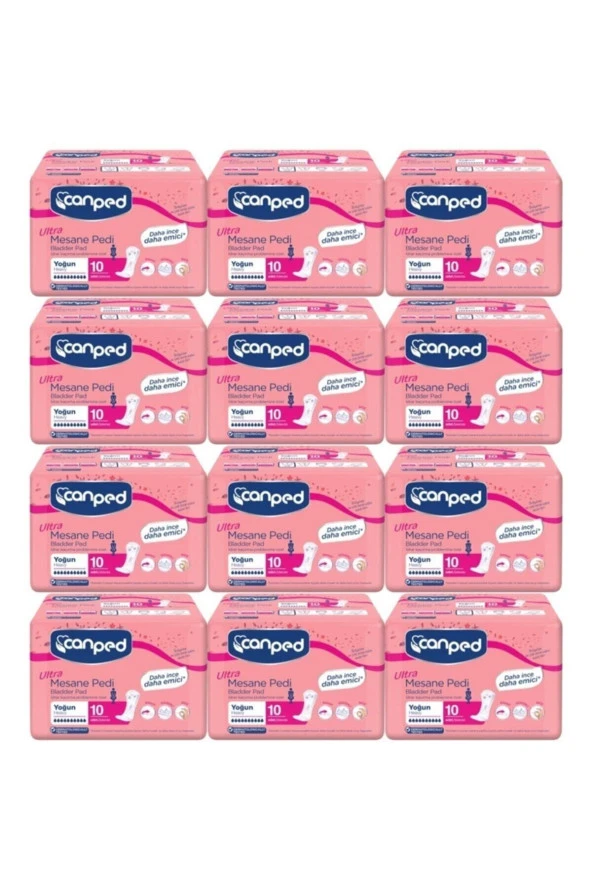Canped Mesane Pedi Ultra Büyük Boy Yoğun 10 Lux12 Adet - 3