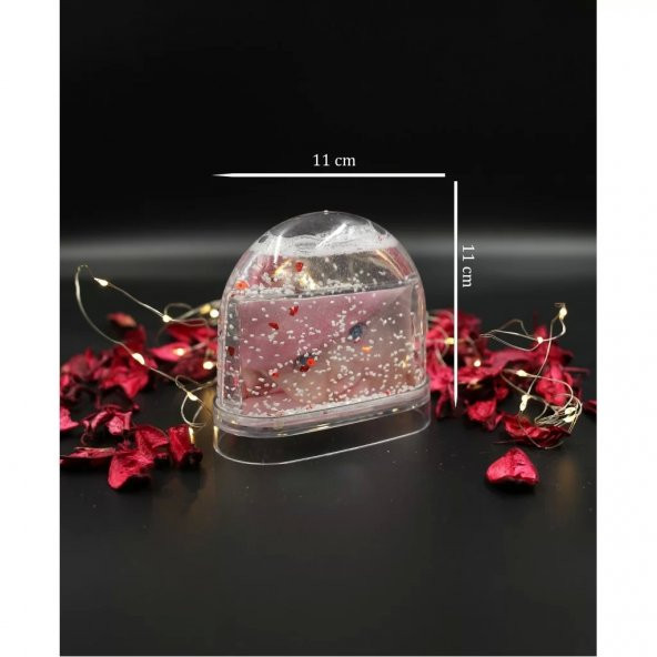 Çift Fotoğraflı Kar Küresi - 2