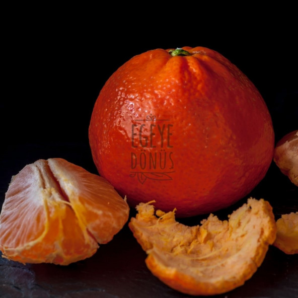Çanta Cep Boy Mandalina Kolonyası Sprey - 100 Ml. (80 Derece) - (Parfümlü) - 4