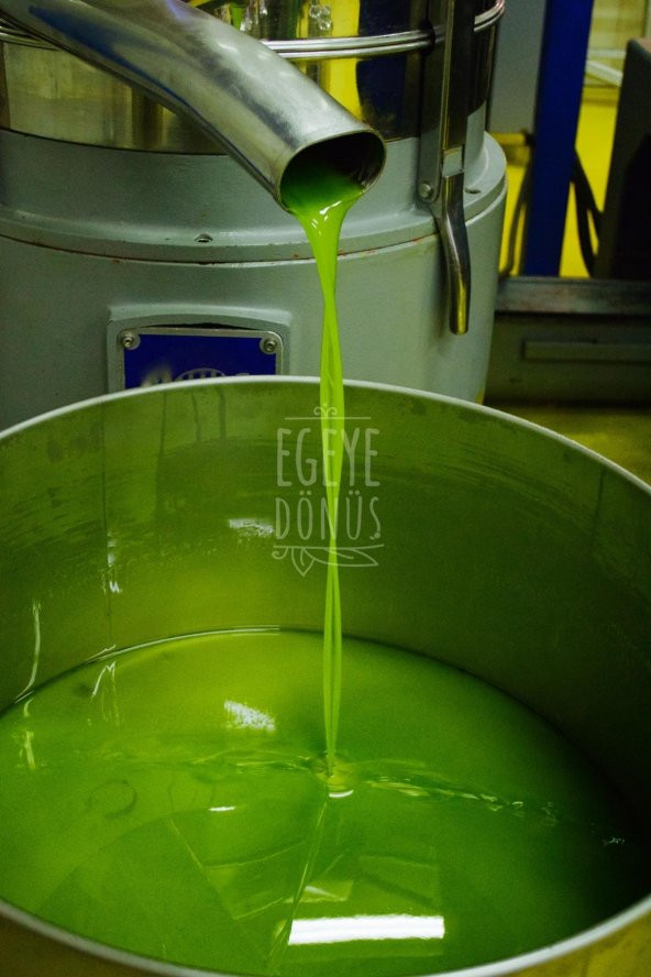 İlk Aşk Organik Zeytinyağı Cam Şişe - 750 ml. (Soğuk Sıkım-Natürel Sızma-Sertifikalı) - 3