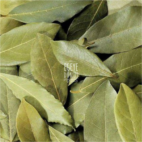 Defne Yaprağı (Bitki Çayı-Baharat-Tütsü) - 10 Gr. (1. Kalite) - 4
