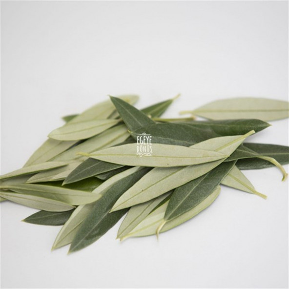 Kuru Zeytin Yaprağı (Bitki Çayı) - 25 Gr.- Kavanoz Görünümlü Kilitli Poşet - Kilitli Saklama Poşeti - 5