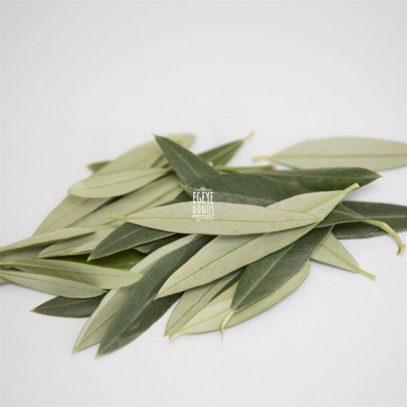 Yeni Mahsül Ayıklanmış Kuru Zeytin Yaprağı (Bitki Çayı) - 50 Gr. 1. Kalite (Yüksek Aroma) - 4