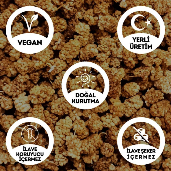 Dut Kurusu - 1 Kg. (İlave Şekersiz - Doğal Kurutulmuş - Çerezlik Kuruyemiş - Toptan Dut Kurusu) - 2
